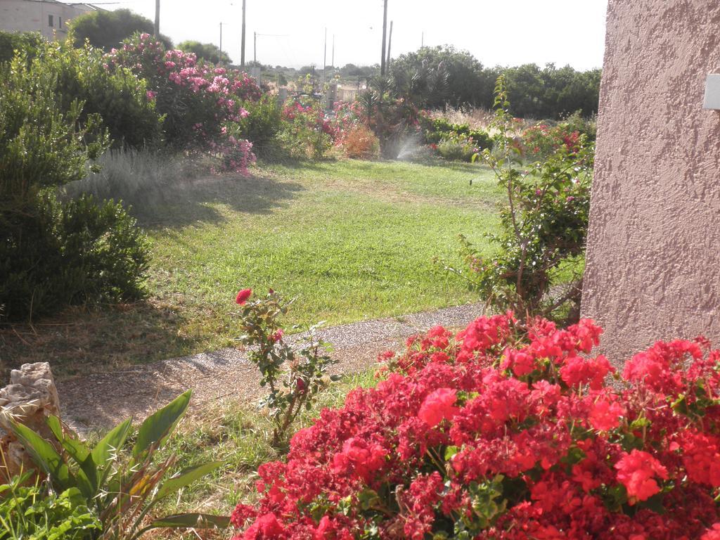 Anthemis Aparthotel Stavros  Bagian luar foto